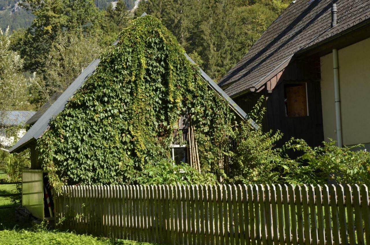 Haus Rosina Villa Admont Ngoại thất bức ảnh